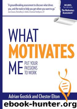What Motivates Me: Put Your Passions to Work by Adrian Gostick & Chester Elton