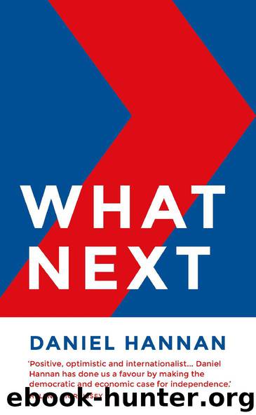 What Next by Daniel Hannan