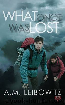 What Once Was Lost by A.M. Leibowitz