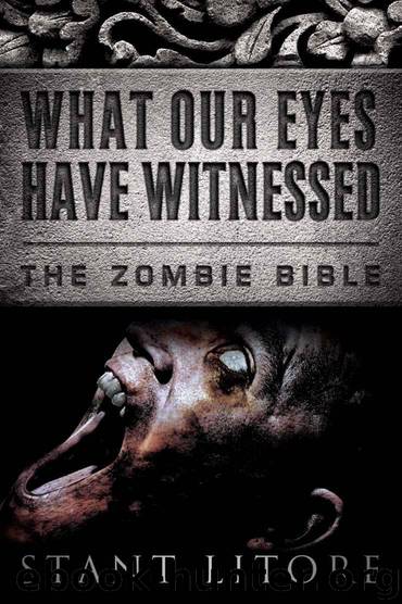 What Our Eyes Have Witnessed by Stant Litore