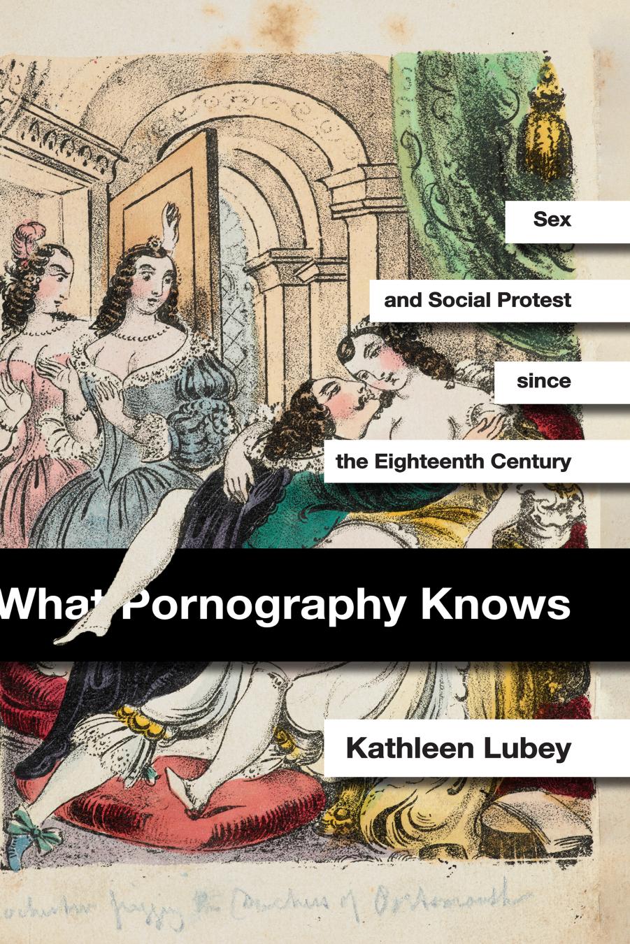 What Pornography Knows by Kathleen Lubey
