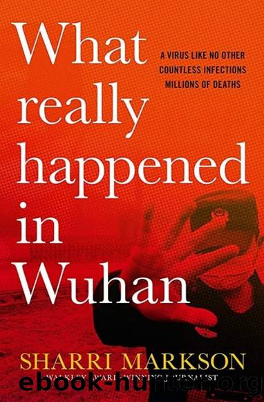What Really Happened In Wuhan: A Virus Like No Other, Countless Infections, Millions of Deaths by Sharri Markson