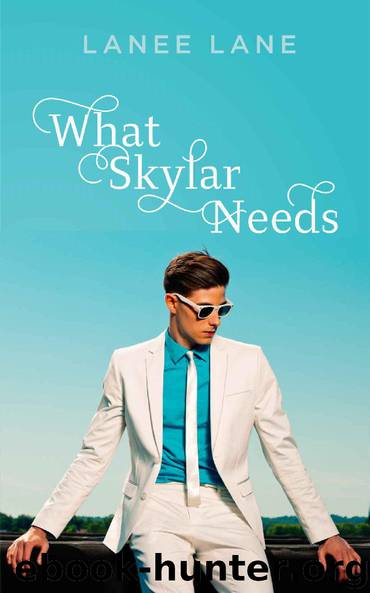 What Skylar Needs by Lanee Lane