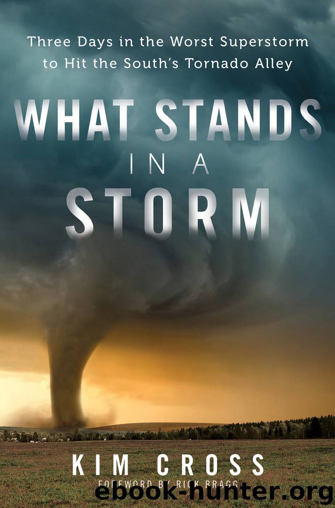 What Stands in a Storm by Kim Cross
