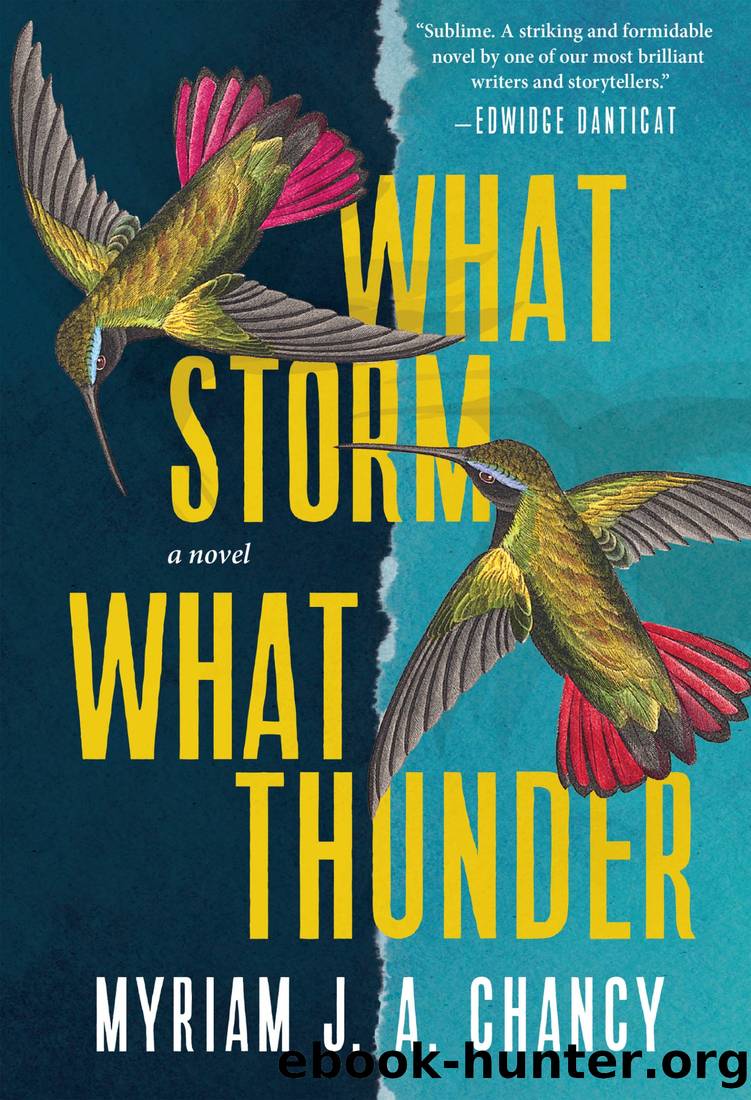 What Storm, What Thunder by Myriam J. A. Chancy