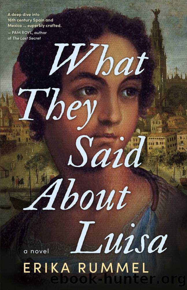 What They Said About Luisa by Erika Rummel