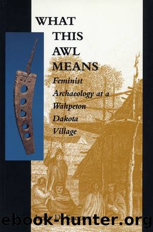 What This Awl Means by Janet D. Spector