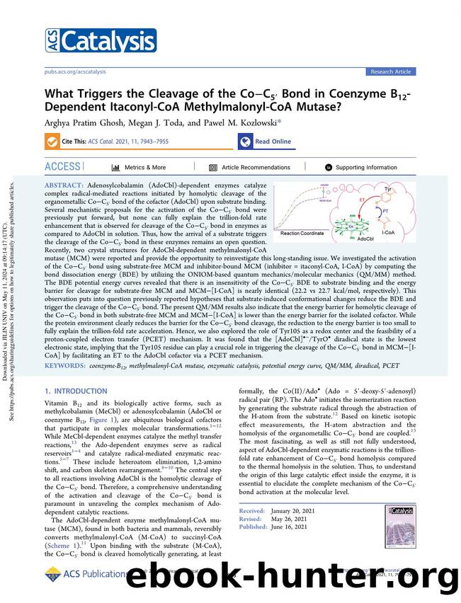 What Triggers the Cleavage of the CoâC5â² Bond in Coenzyme B12-Dependent Itaconyl-CoA Methylmalonyl-CoA Mutase? by Arghya Pratim Ghosh Megan J. Toda & Pawel M. Kozlowski
