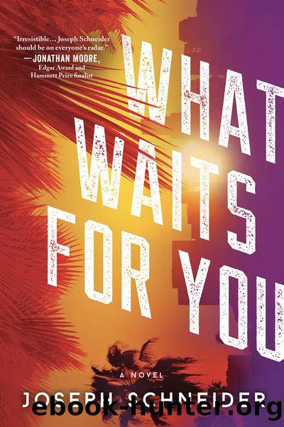 What Waits for You by Joseph Schneider