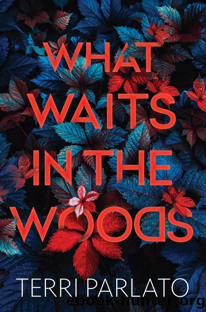 What Waits in the Woods by Terri Parlato
