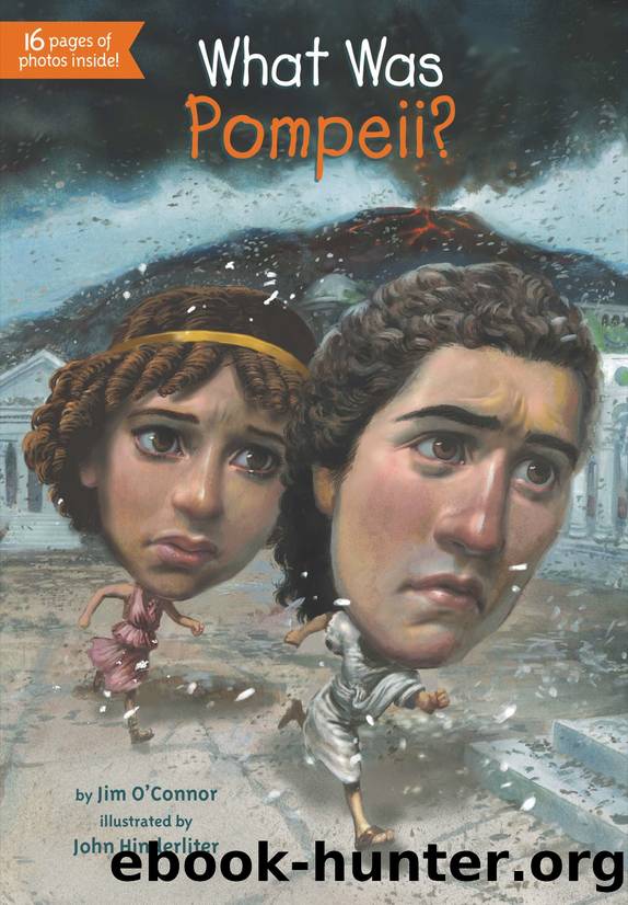 What Was Pompeii? by O'Connor Jim