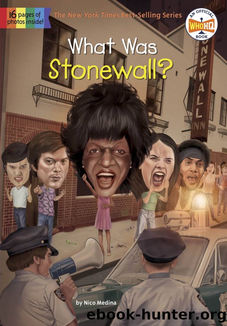 What Was Stonewall? by Medina Nico