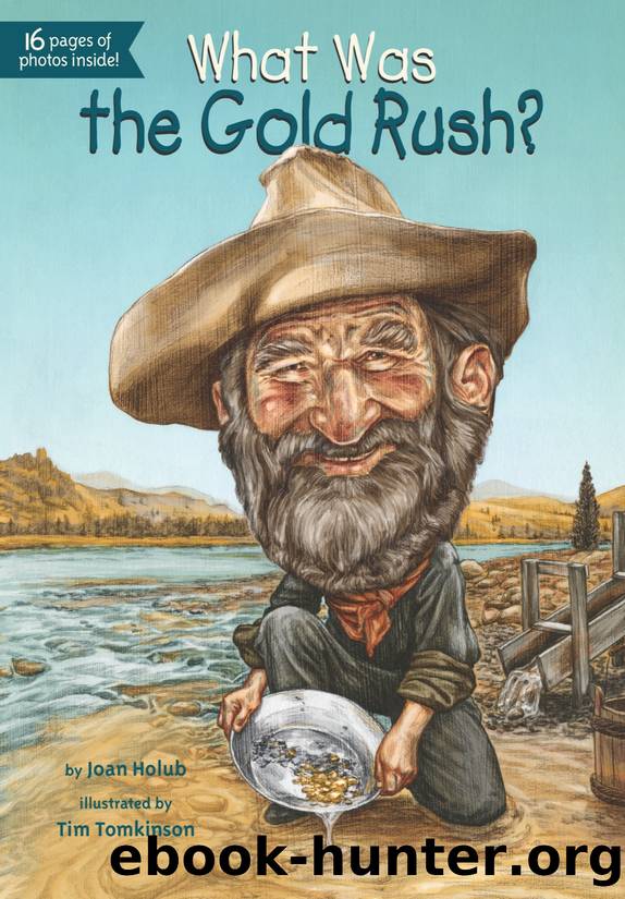 What Was the Gold Rush? by Holub Joan