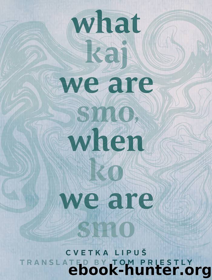 What We Are When We Are by Priestly Tom; Lipus Cvetka; & Tom Priestly