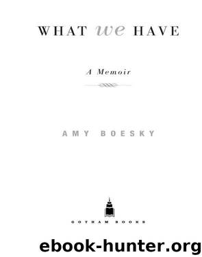 What We Have by Amy Boesky