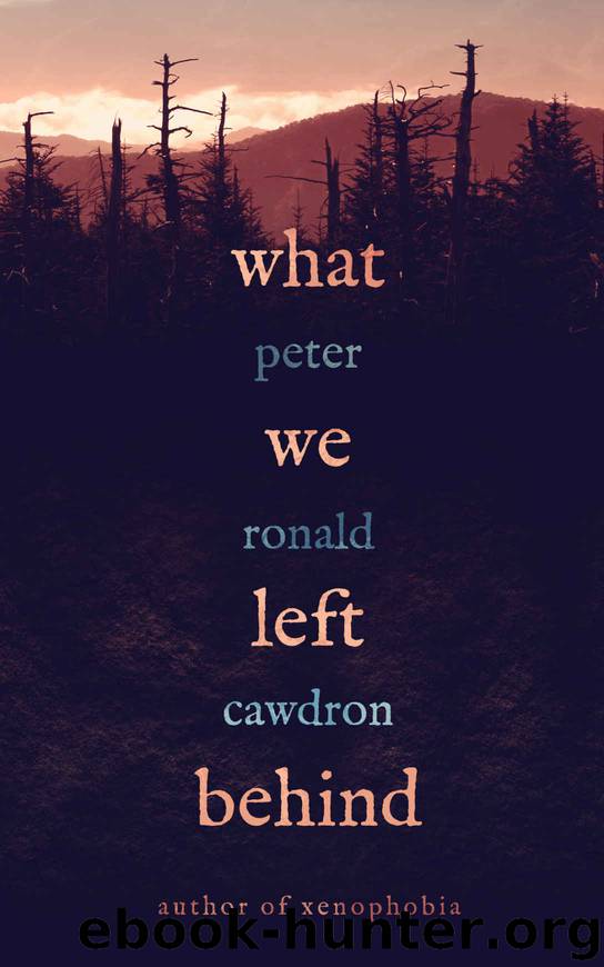 What We Left Behind by Peter Cawdron