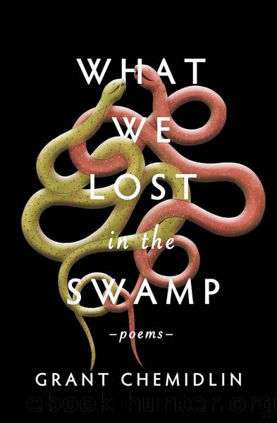 What We Lost in the Swamp by Grant Chemidlin