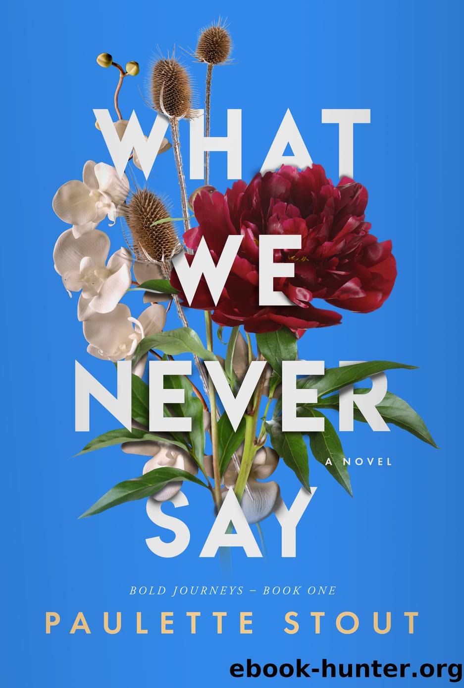What We Never Say by Paulette Stout