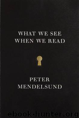 What We See When We Read (9780804171649) by Mendelsund Peter