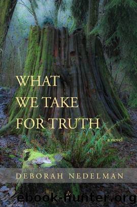 What We Take For Truth by Deborah Nedelman