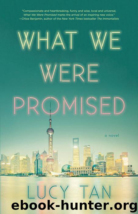 What We Were Promised by Lucy Tan