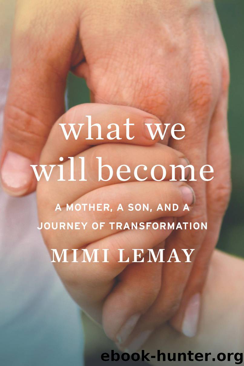 What We Will Become by Mimi Lemay