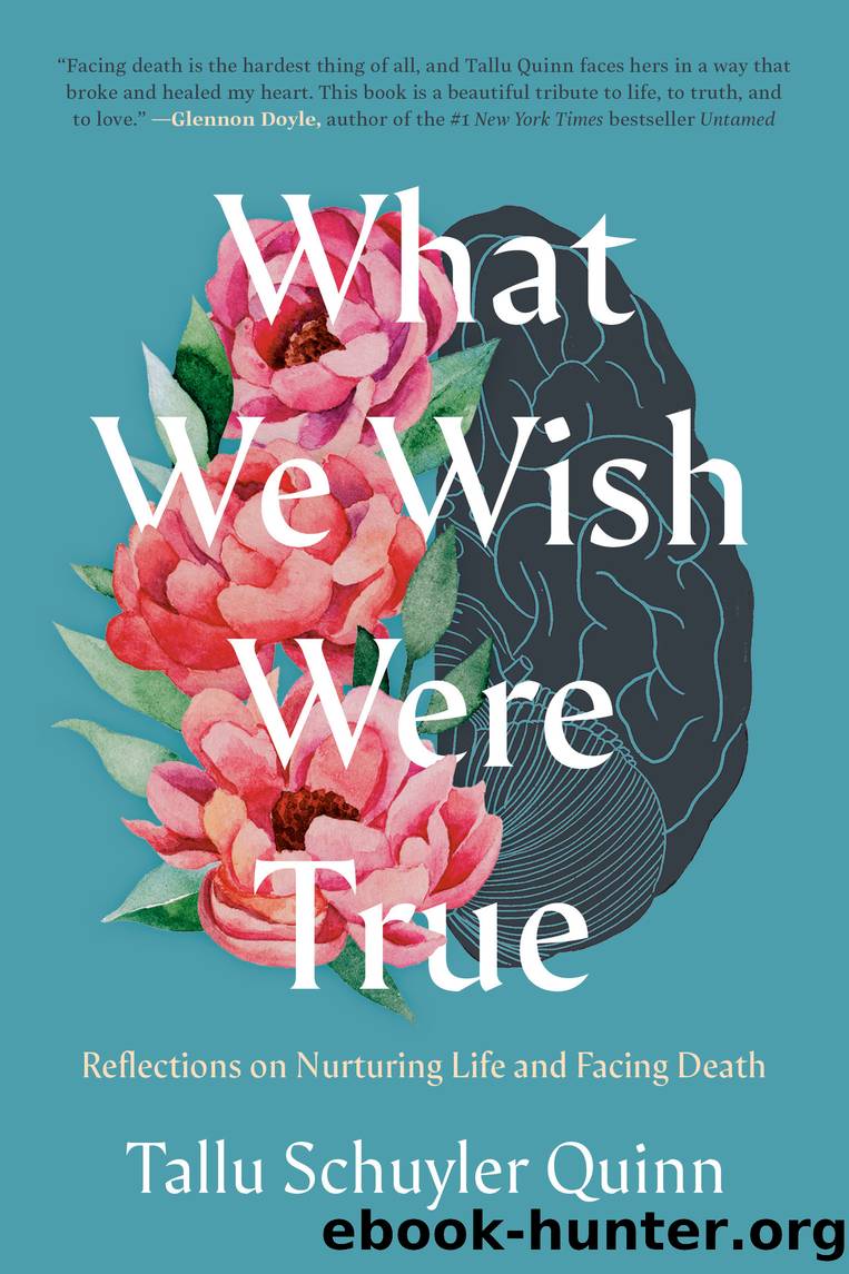 What We Wish Were True by Tallu Schuyler Quinn