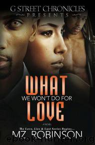 What We Won't do for Love (Love, Lies & Lust Series) by Robinson Mz