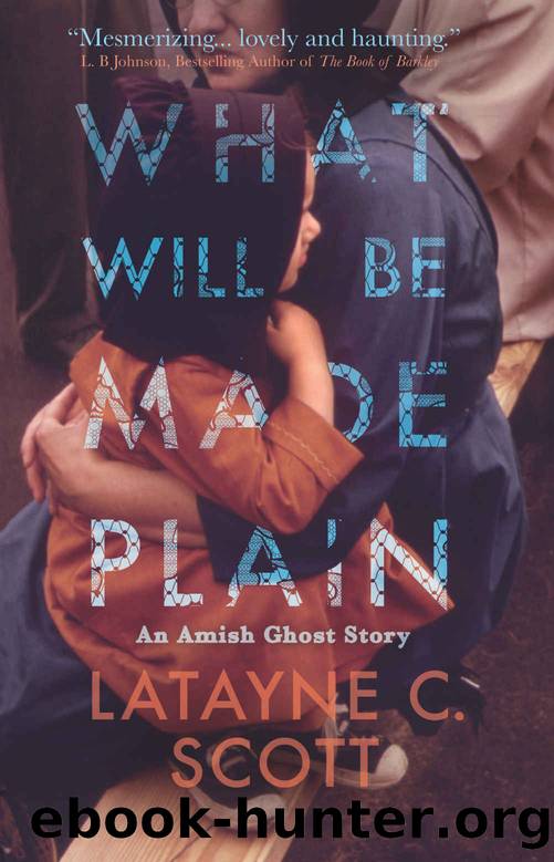 What Will Be Made Plain by Latayne C. Scott