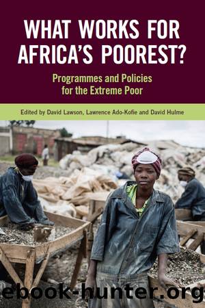 What Works for Africa's Poorest by David Lawson