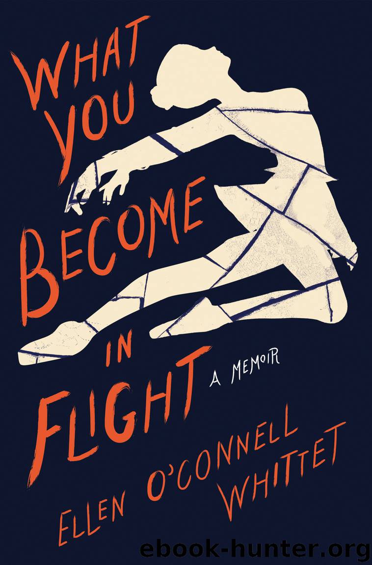 What You Become in Flight by Ellen O'Connell Whittet