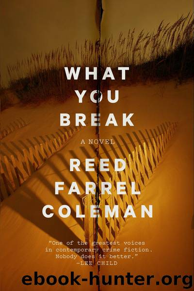 What You Break by Reed Farrel Coleman
