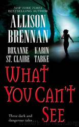 What You Can't See by Allison Brennan & Karin Tabke & Roxanne St. Claire