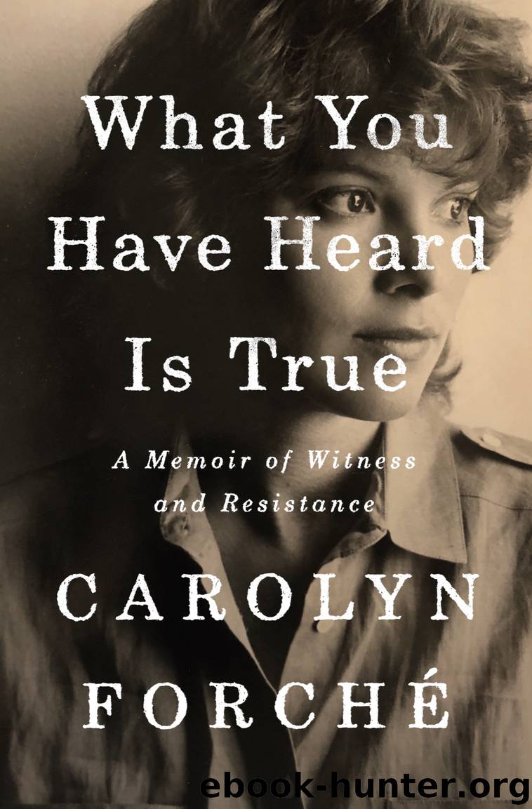 what you have heard is true carolyn forche