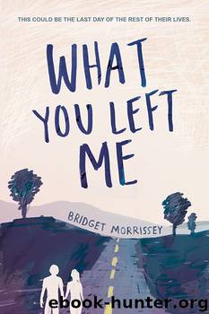 What You Left Me by Bridget Morrissey