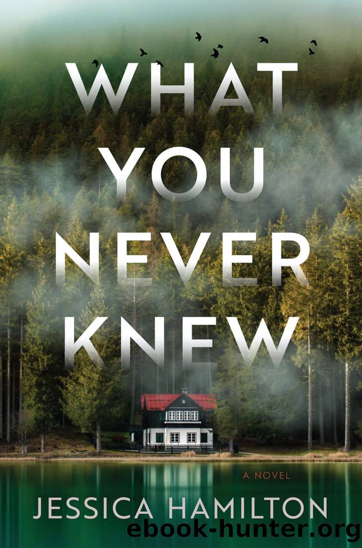 What You Never Knew by Jessica Hamilton