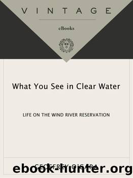 What You See in Clear Water by Geoffrey O'Gara