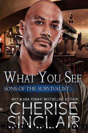 What You See: Sons of the Survivalist: 3 by Cherise Sinclair