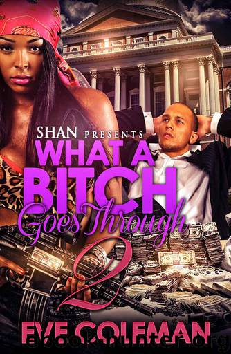 What a Bitch Goes Through 2 by Eve Coleman