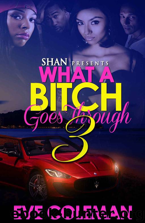 What a Bitch Goes Through 3: The Finale by Eve Coleman