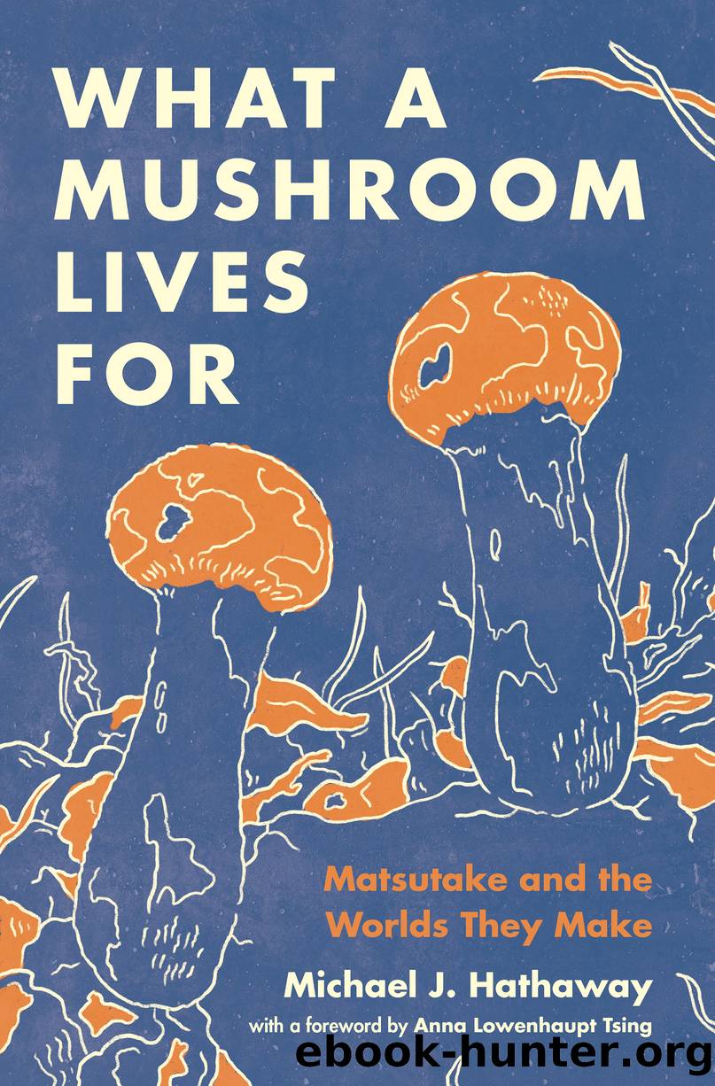 What a Mushroom Lives For by Michael J. Hathaway