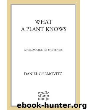 What a Plant Knows by Daniel Chamovitz