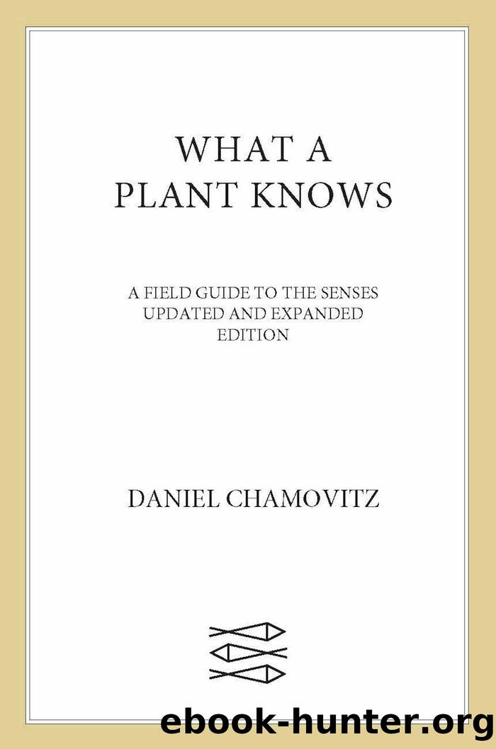 What a Plant Knows: A Field Guide to the Senses: Updated and Expanded Edition by Daniel Chamovitz