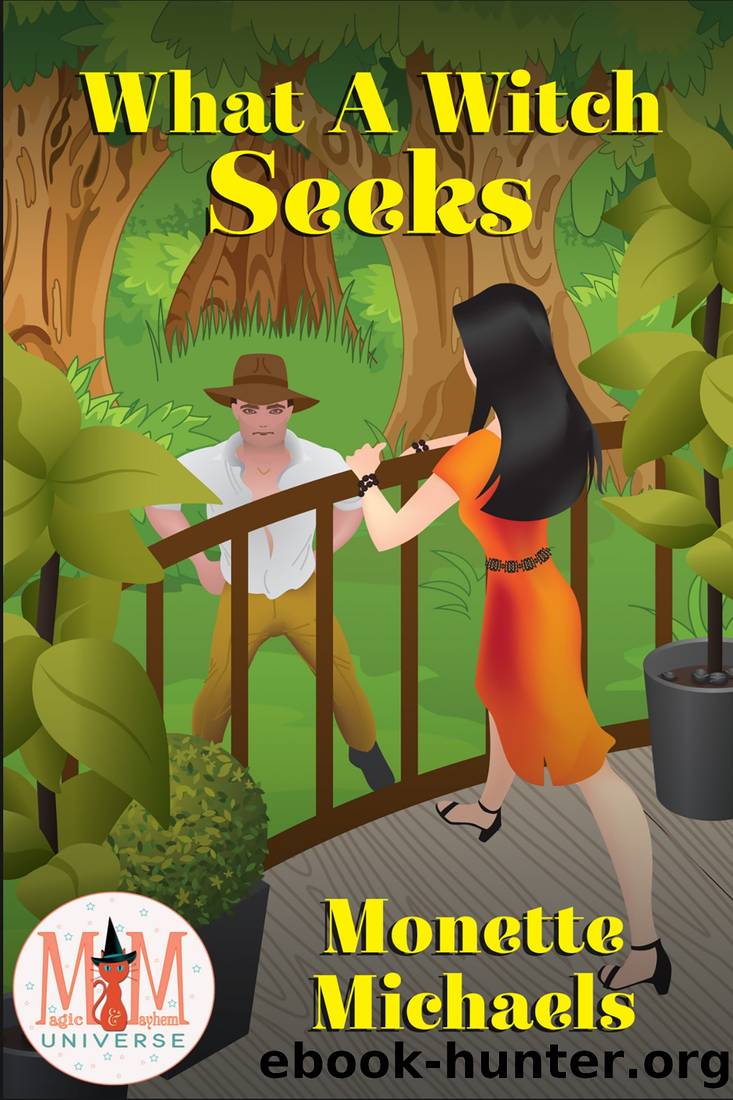 What a Witch Seeks by Monette Michaels
