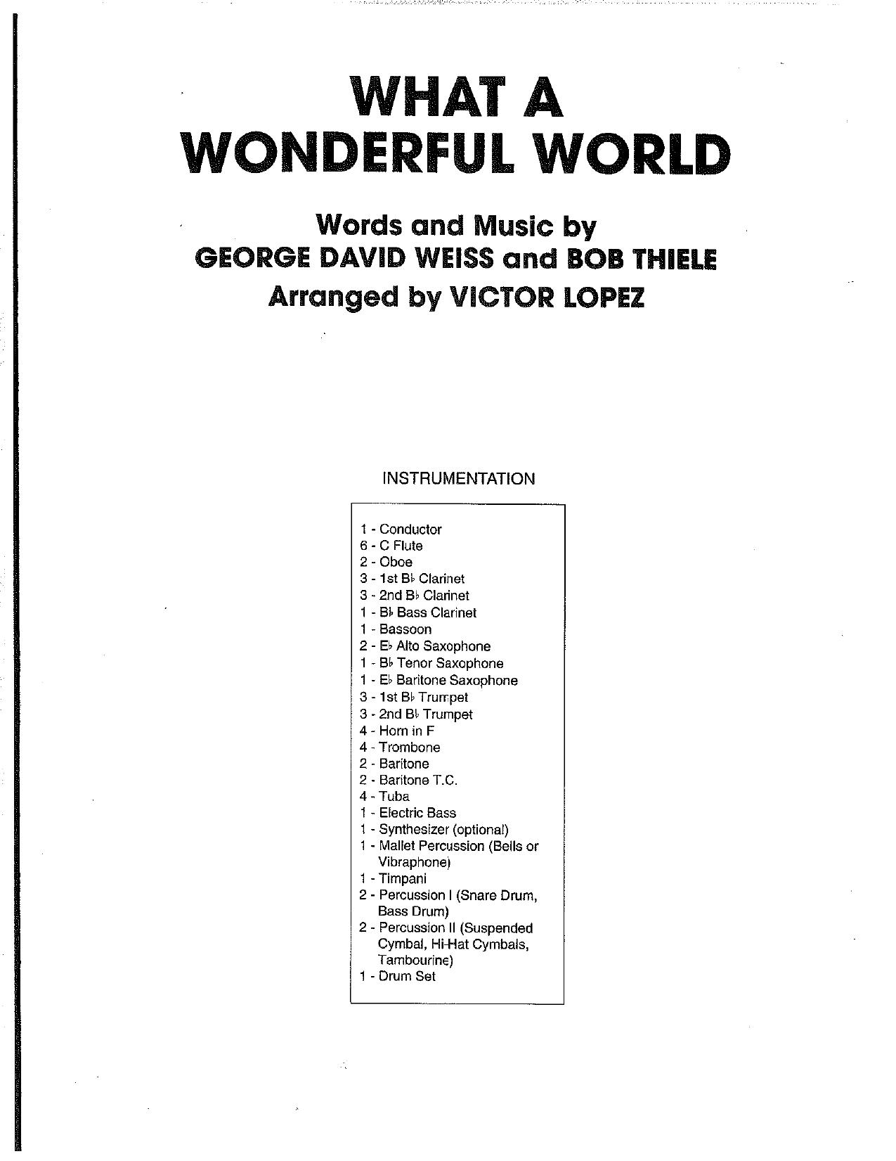 What a Wonderful World band by Thiele B