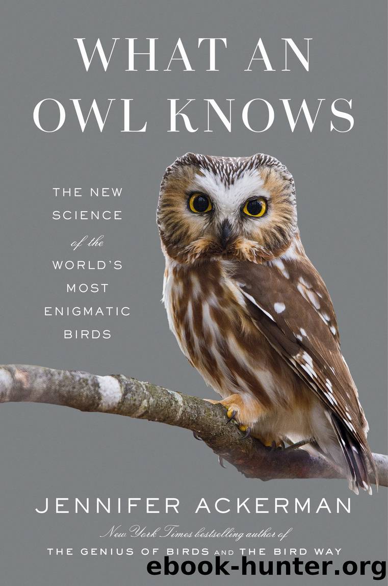 What an Owl Knows by Jennifer Ackerman