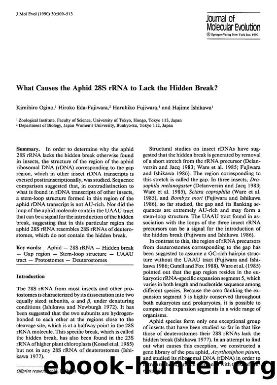 What causes the aphid 28S rRNA to lack the hidden break? by Unknown