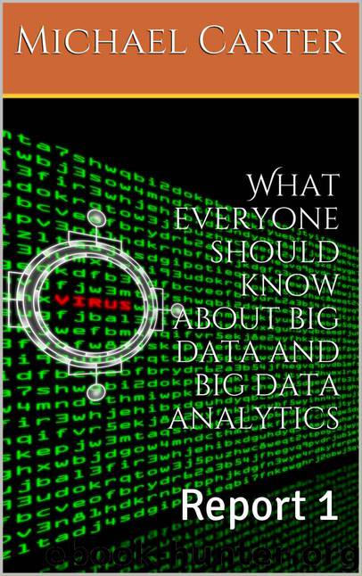 What everyone should know about big data and big data analytics: Report 1 by Michael Carter