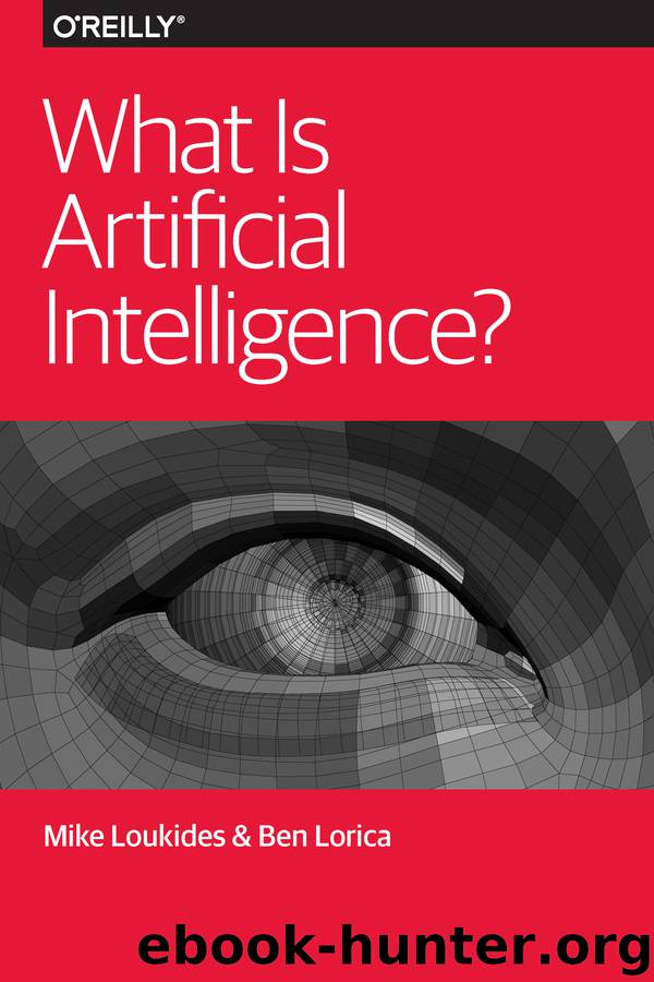 What is Artificial Intelligence? by Mike Loukides & Ben Lorica
