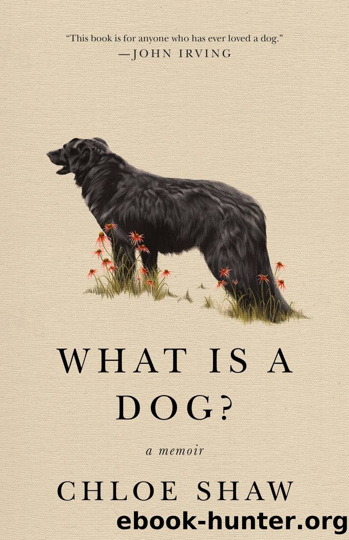 What is a Dog? by Chloe Shaw